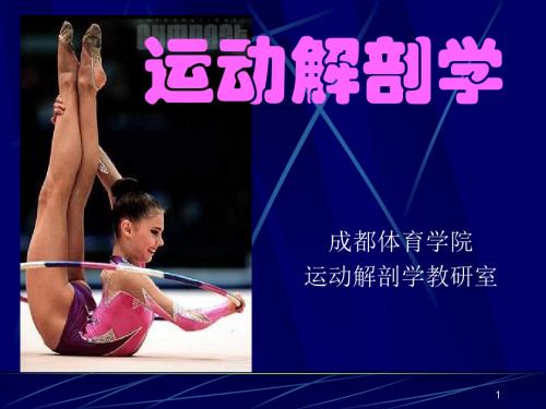 第1章 人体的基本构成