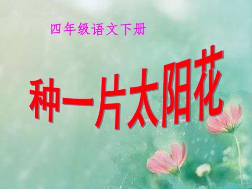 北师大小学四年级语文下册《种一片太阳花》ppt