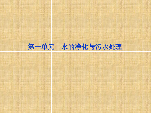 水的净化与污水处理学习课件PPT