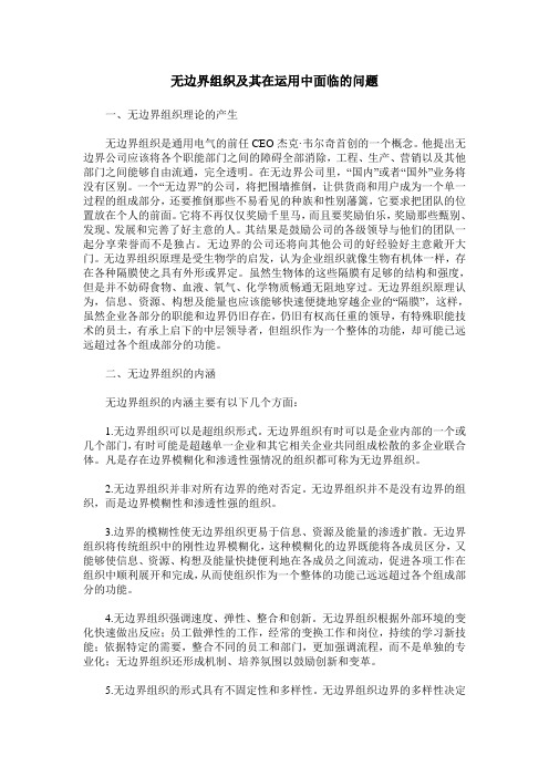 无边界组织及其在运用中面临的问题