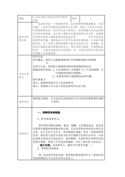 12放大镜下的昆虫世界及教学反思