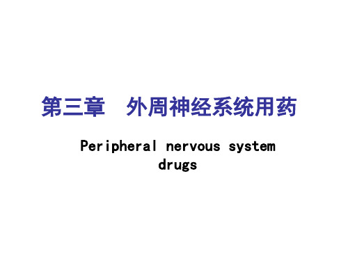 肾上腺素