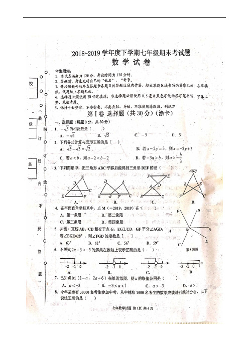 黑龙江省尚志市2018-2019学年七年级下学期期末考试数学试题(扫描版)