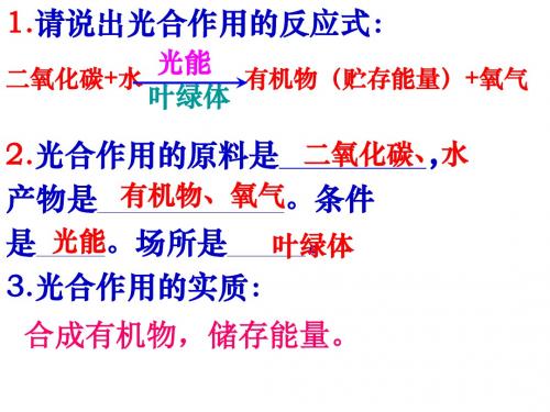 山东郓城县随官屯镇初级中学2018届中考生物复习课件：专题三生物圈中的动物和微生物共18张ppt