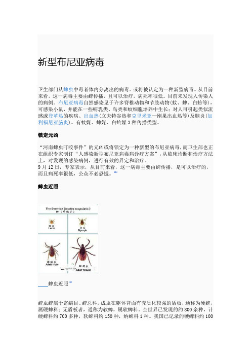 新型布尼亚病毒