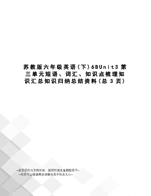 苏教版六年级英语6BUnit3第三单元短语、词汇、知识点梳理知识汇总知识归纳总结资料