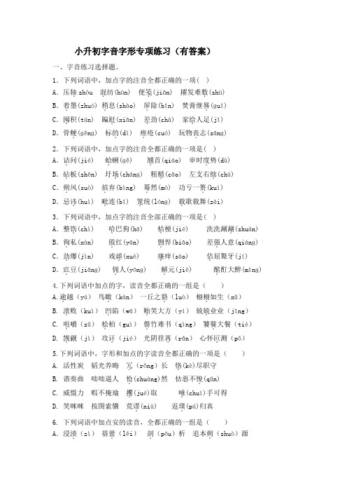 小升初字音字形专项练习
