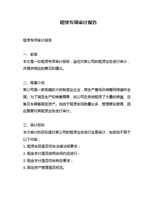 租赁专项审计报告