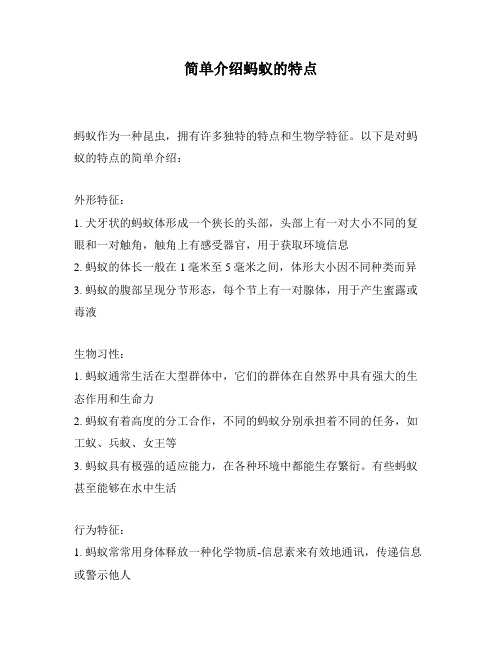 简单介绍蚂蚁的特点