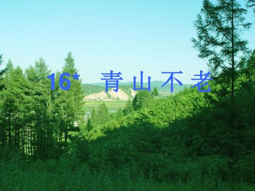 青山不老 (2)