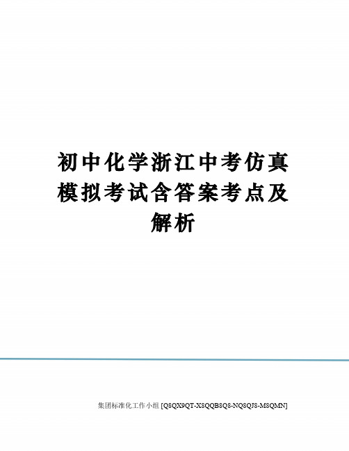 初中化学浙江中考仿真模拟考试含答案考点及解析