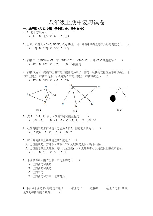 上海戴氏教育八年级上数学期中复习检测