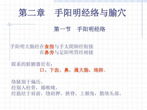 手阳明大肠经穴