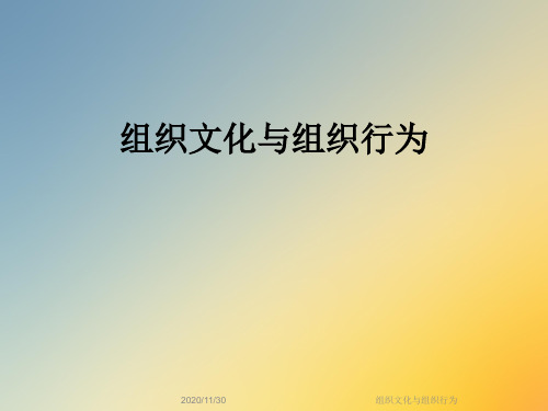 组织文化与组织行为