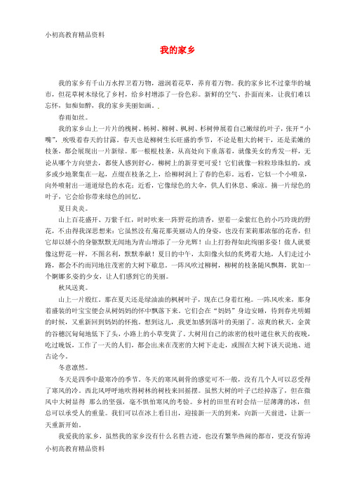 九年级语文《我的家乡1》作文点评