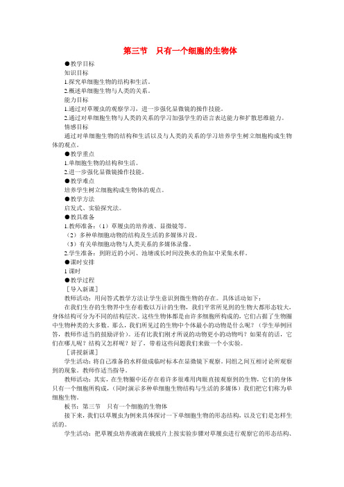 七年级生物2.3.3 只有一个细胞的生物体 2教案人教版