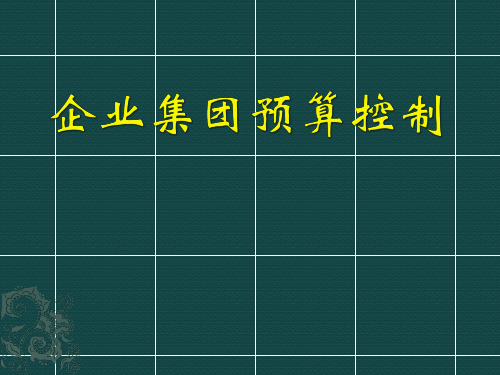 企业集团预算控制
