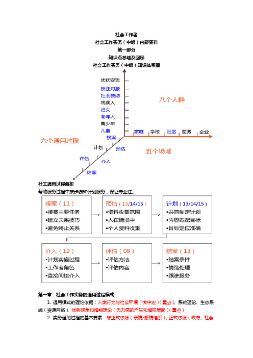 社会工作实务(中级)(内部资料)