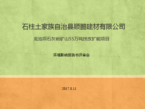 石灰岩矿评审会汇报ppt