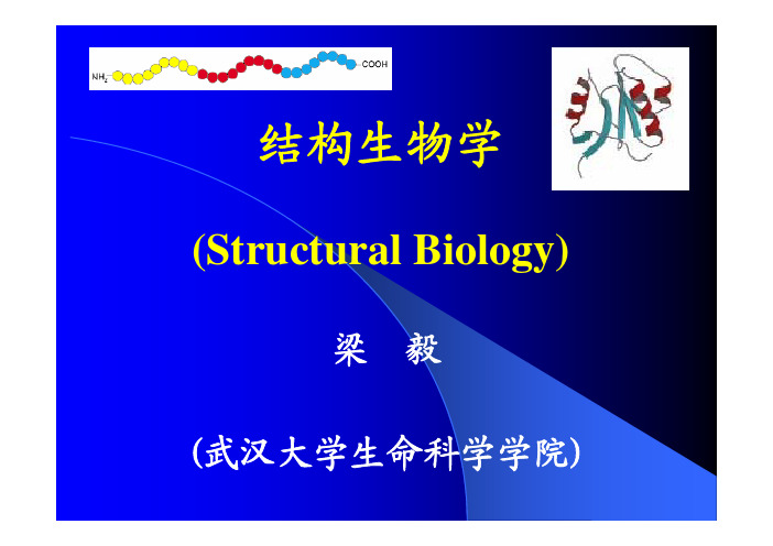结构生物学总复习 2010a