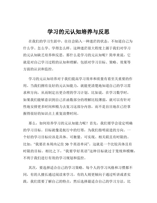 学习的元认知培养与反思