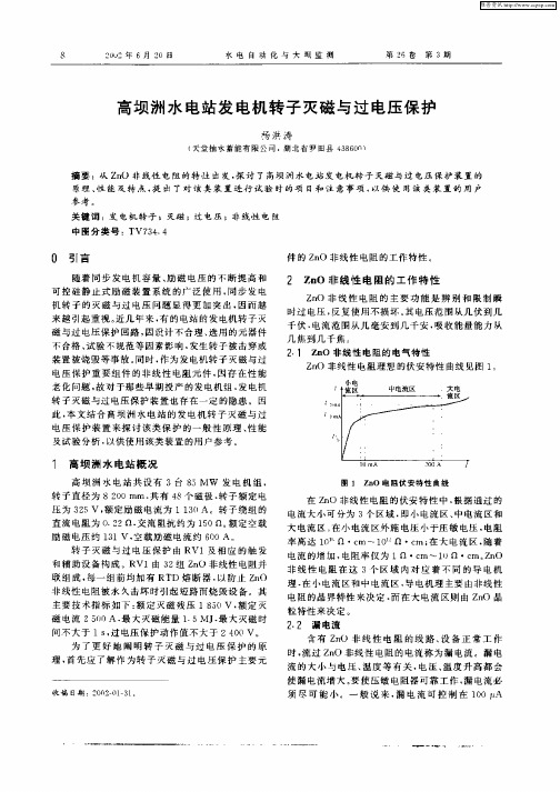 高坝洲水电站发电机转子灭磁与过电压保护