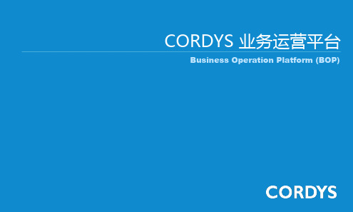 数据平台_OpentextBOP_公司产品介绍.