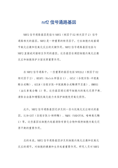 nrf2信号通路基因