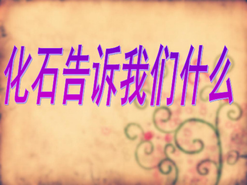 3.2-化石告诉我们什么