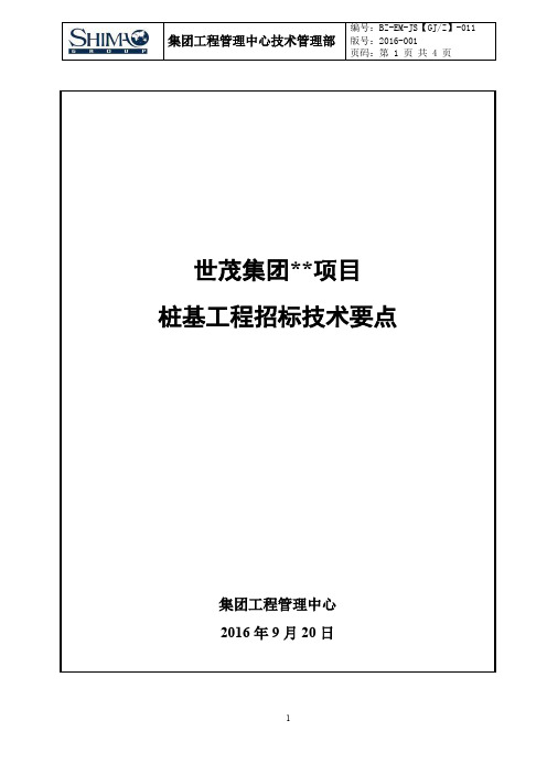 《世茂集团招标技术标-桩基技术要点》