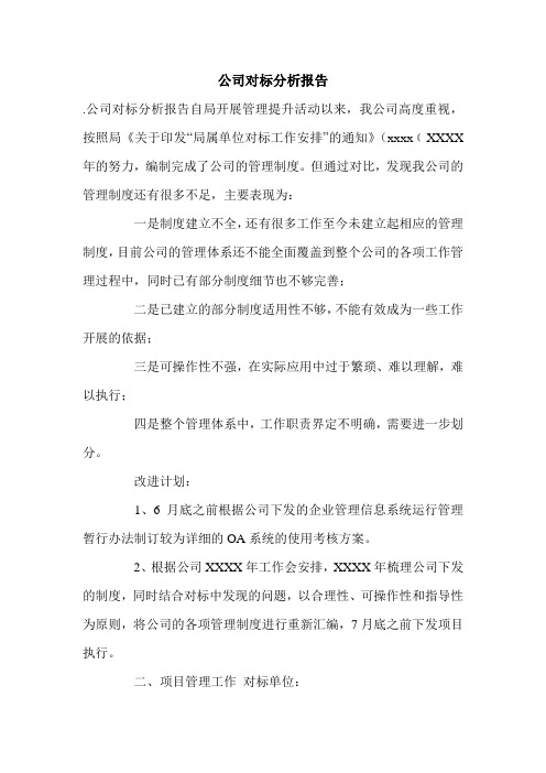 公司对标分析报告.doc