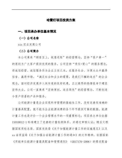 哈雷灯项目投资方案(项目说明模板范文)