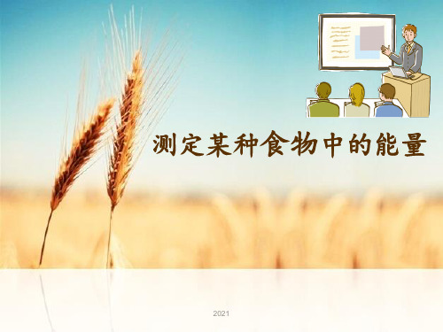 《测定某种食物中的能量》PPT课件