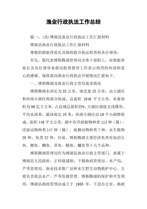 渔业行政执法工作总结