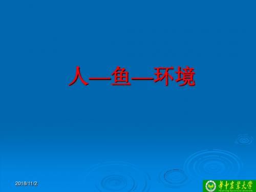 人-鱼-环境