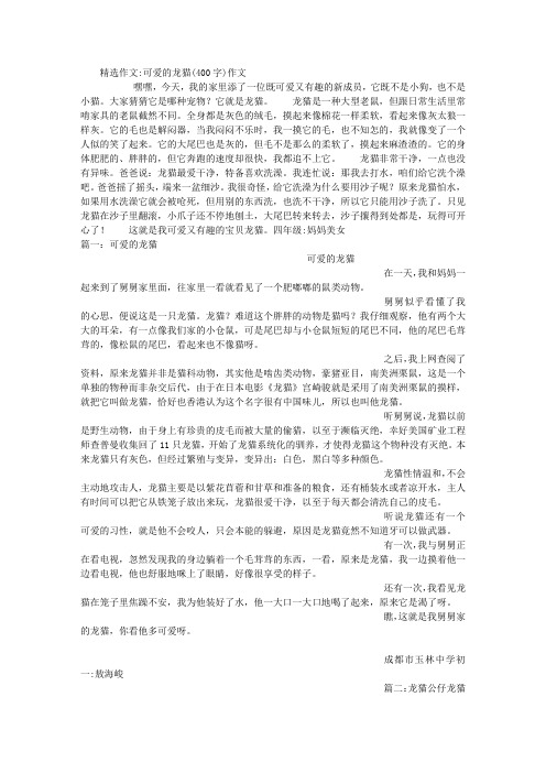 可爱的龙猫(400字)作文