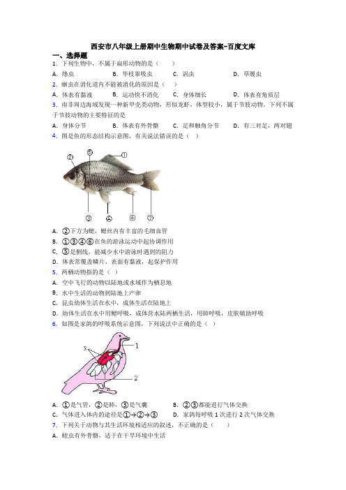 西安市八年级上册期中生物期中试卷及答案-百度文库