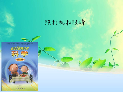 小学美术_照相机和眼睛教学课件设计