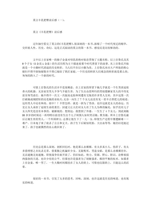 莫言丰乳肥臀读后感8篇