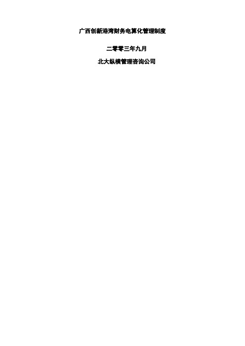 广西创新港湾财务电算化管理制度