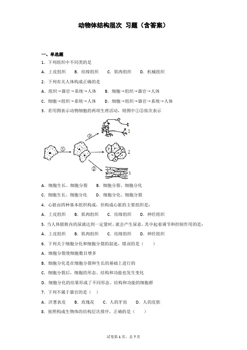 动物体结构层次 习题(含答案)