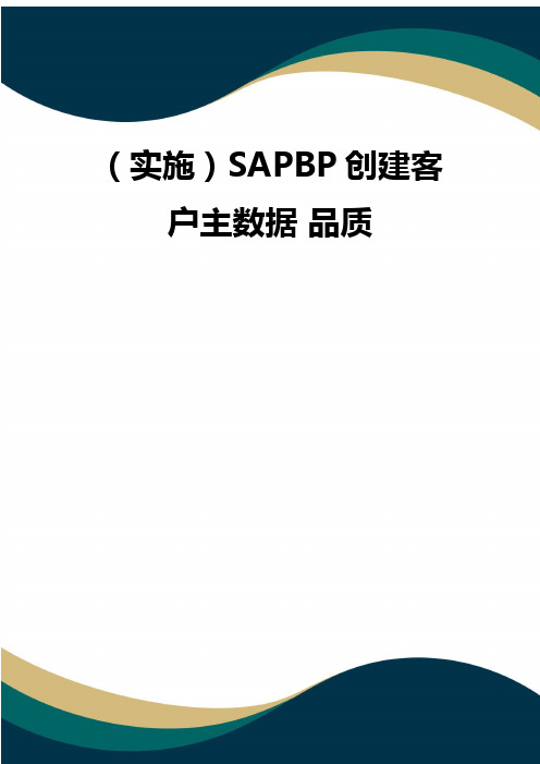 (实施)SAPBP创建客户主数据 品质