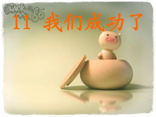 11《我们成功了》