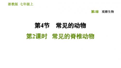 2019秋浙教版七年级科学上册习题课件：2.4.2 常见的脊椎动物(共33张PPT)