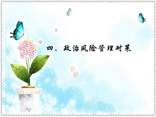 政治风险管理 PPT