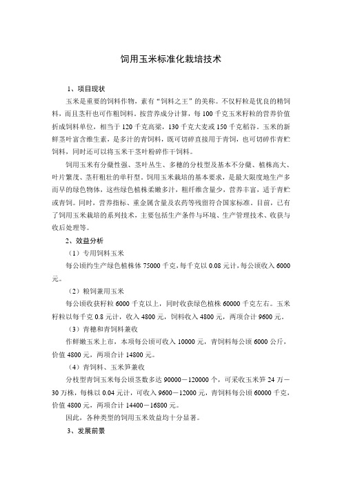 饲用玉米标准化栽培技术