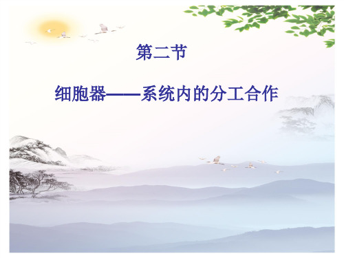 高中生物必修一第3章第2节细胞器——系统内的分工合作  课件(共21张PPT)[优秀课件][优秀课件]