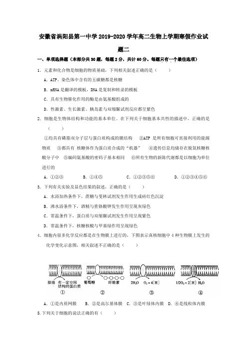 安徽省涡阳县第一中学2019_2020学年高二生物上学期寒假作业试题二