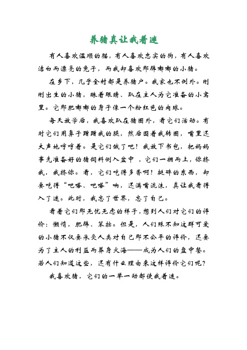 养猪真让我着迷