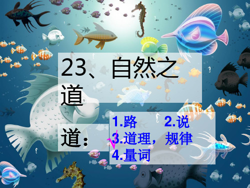 23、自然之道(完美版)讲解